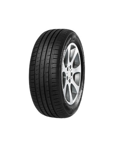 Minerva F209 XL 225/55 R16 99 V EXTRALOAD