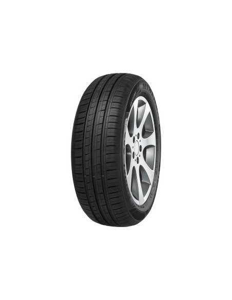 Minerva 209 165/65 R14 79 T