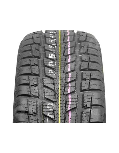 Roadstone N PRIZ 4 SEASON 195/65 R15 91 T