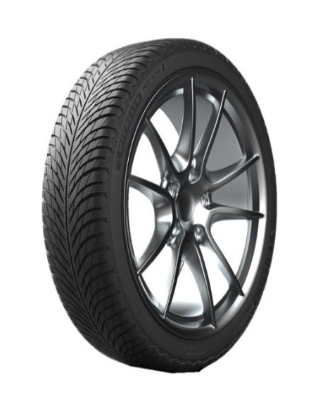 Michelin PILOT ALPIN 5 205/55 R17 91 H