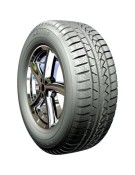 Petlas SNOW MASTER W651 M+S 3PMSF 205/60 R15 91 H