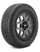 Bfgoodrich TRAIL TERRAIN T/A 245/60 R20 107 H (2022)
