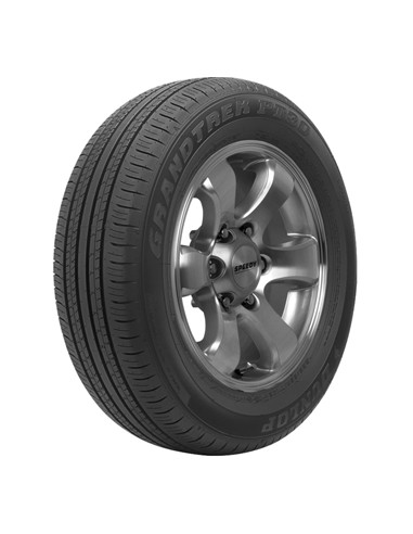 Dunlop Grandtrek PT30 225/65 R17 102 H