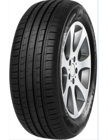 Minerva F209 205/55 R16 94 V