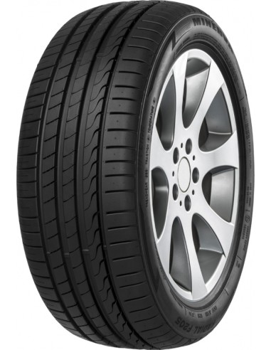 Minerva F205 235/45 R20 100 W EXTRALOAD